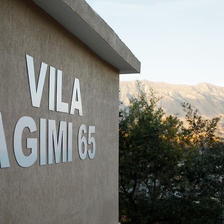 Vila Agimi 65 ジロカストラ エクステリア 写真